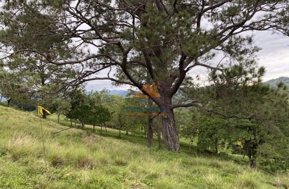 Sale of Plots in Jarabacoa Ecological Project-14