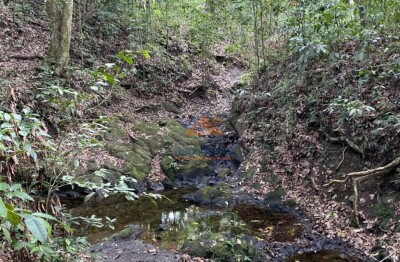 Venta de Solares en Proyecto Ecológico de Jarabacoa