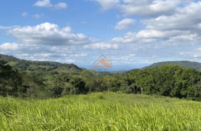 Venta de Solares en Proyecto Ecológico de Jarabacoa