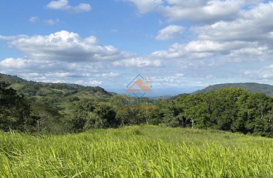 Sale of Plots in Jarabacoa Ecological Project-4