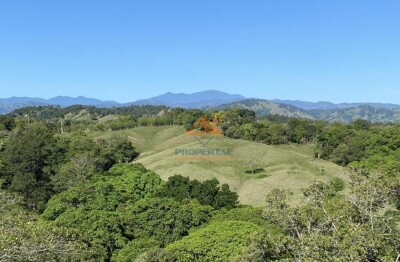 Venta de Solares en Proyecto Ecológico de Jarabacoa