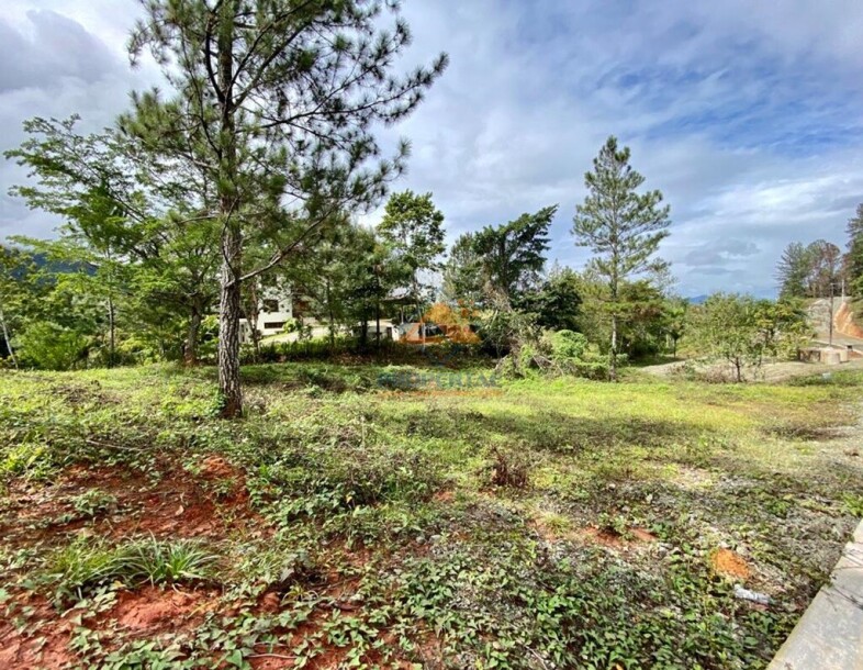 Lots for sale with views of the mountains in Piedra Blanca, Jarabacoa-8