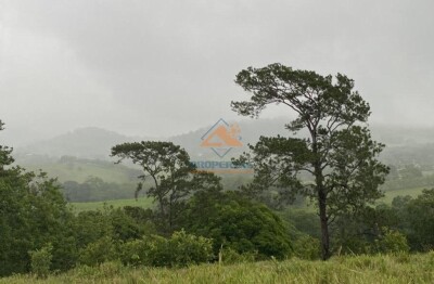 Venta de Solares en Proyecto Ecológico de Jarabacoa