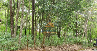 Solar de venta de 859 metros en Jarabacoa-2
