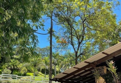 Terreno en venta de 70 Tareas en Jarabacoa-7
