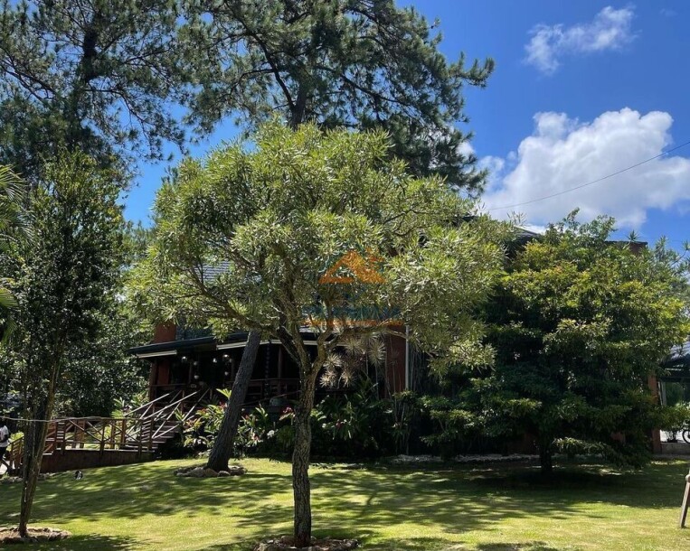 Villa de venta en Jarabacoa, La Vega-7